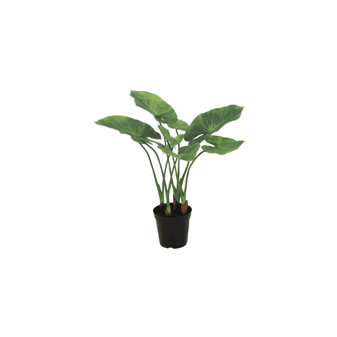 Artificial tree Alocasia 60 cm 