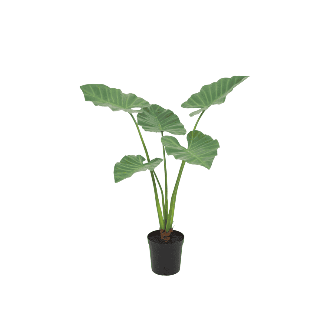 Artificial Alocasia tree in pot 102 cm 