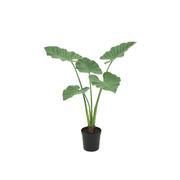 Kunstboom Alocasia in pot 102 cm