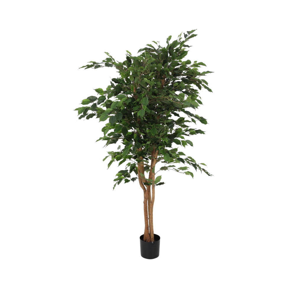 Kunstboom Ficus Exotica Tree 180cm