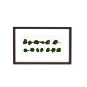 Floating walnut XL photo frame