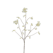 Bloesem tak creme 130cm