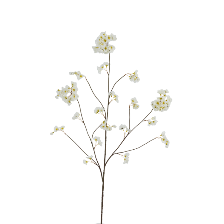 Bloesem tak creme 130cm