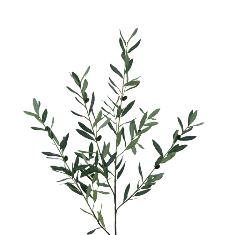Olijf tak 100cm