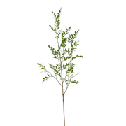 Ruscus tak 140cm