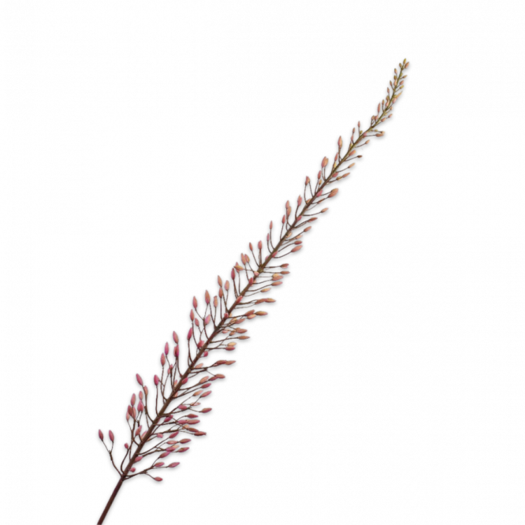 Kunsttak Eremurus Steel Roze 162 cm
