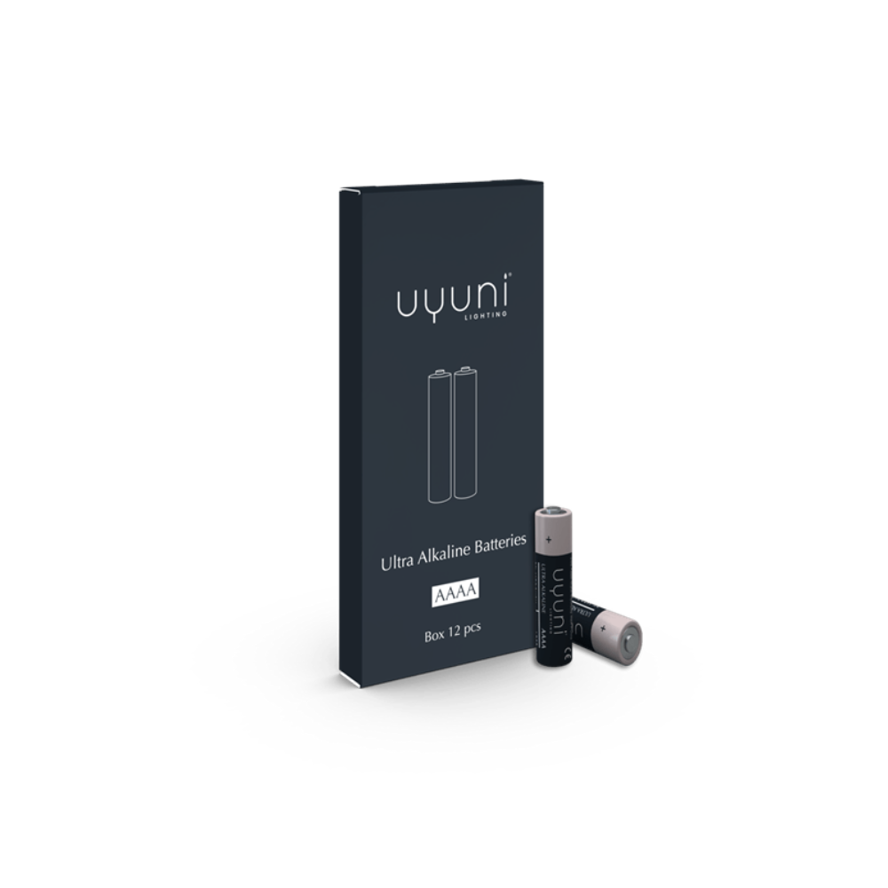 Batterij AA 12-pack - UYUNI