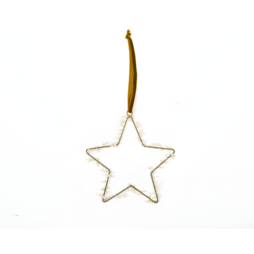 Ster hanger Nora goud M