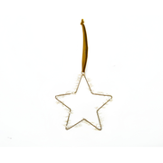 Ster hanger Nora goud M