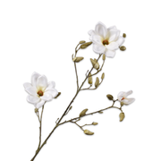 Kunsttak Magnolia tak Creme