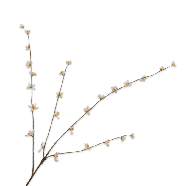 Kunsttak Perzik Bloesem Perzik