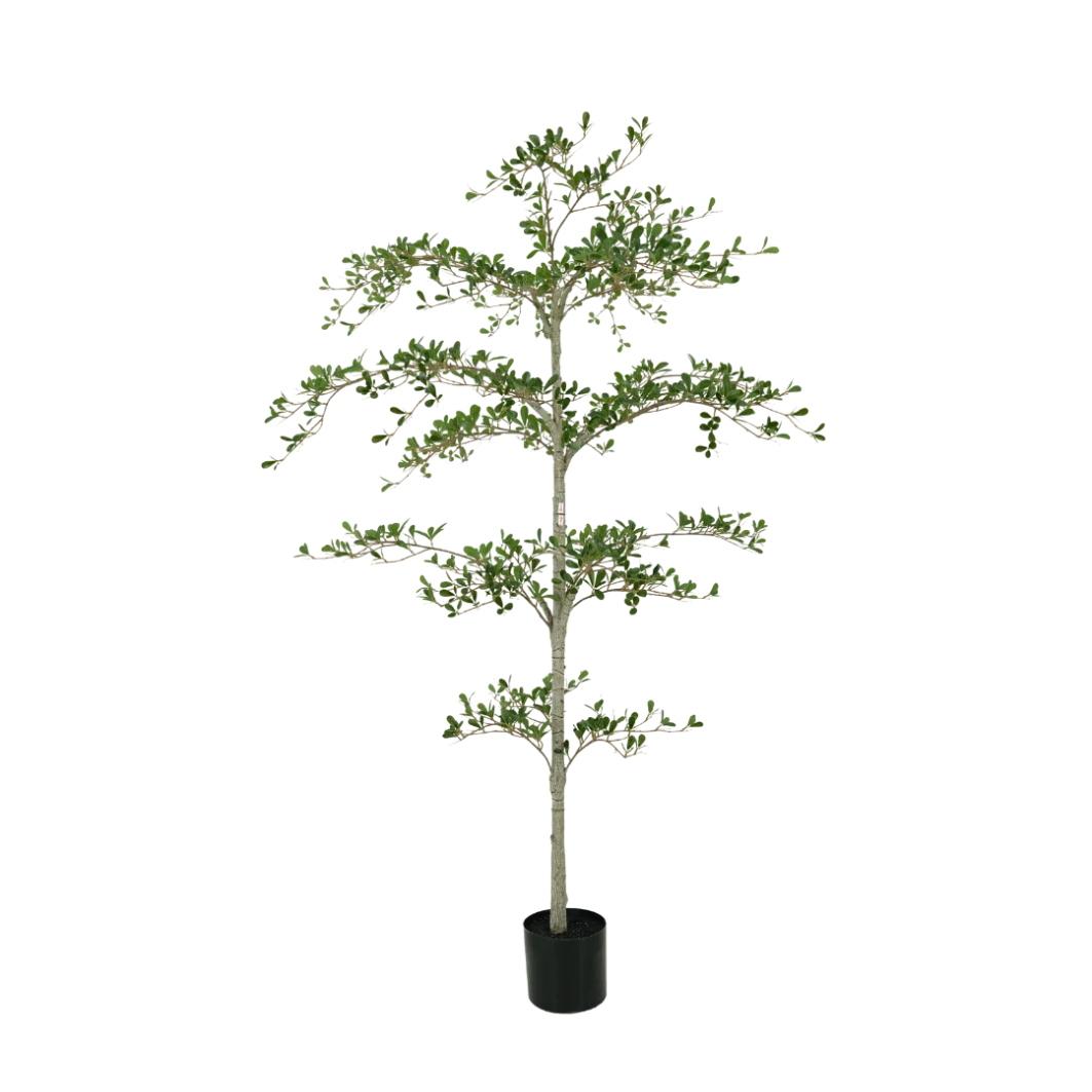 Kunstboom Zwarte olijvenboom 180 cm