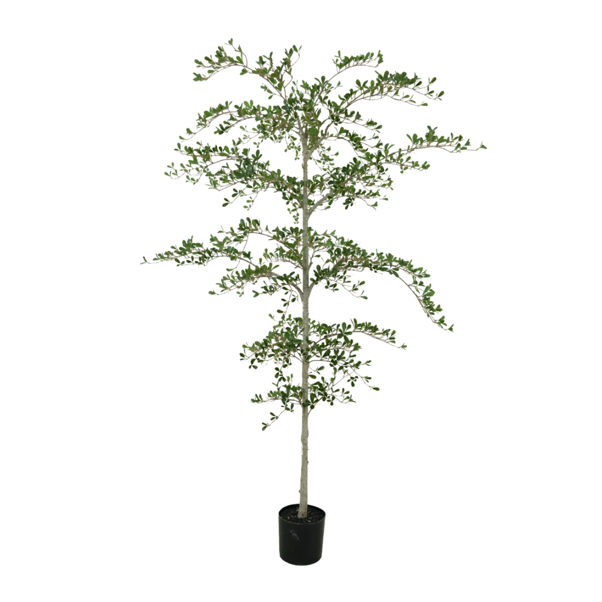 Kunstboom Zwarte olijvenboom 210 cm