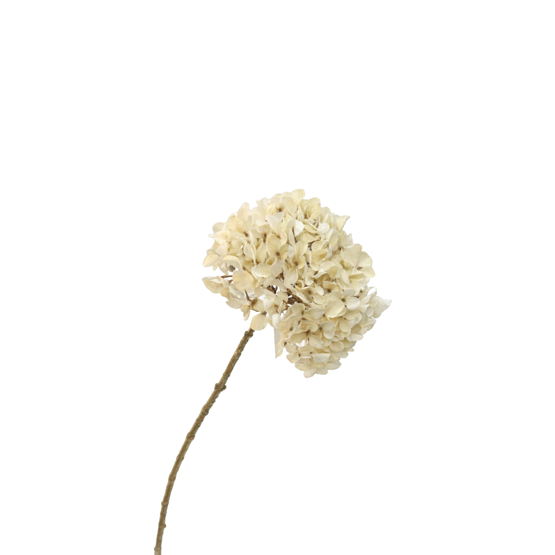 Kunsttak Hydrangea creme 65 cm