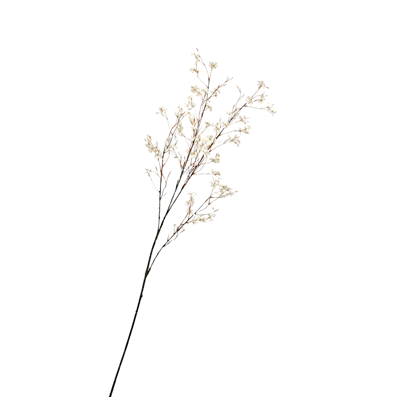 Kunsttak bloesem creme