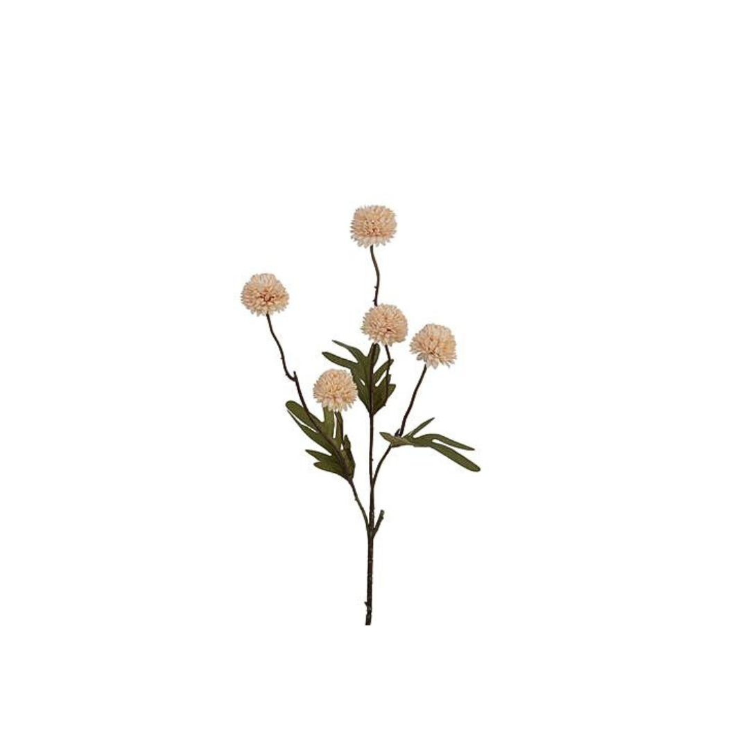 Kunsttak Pompom S cream