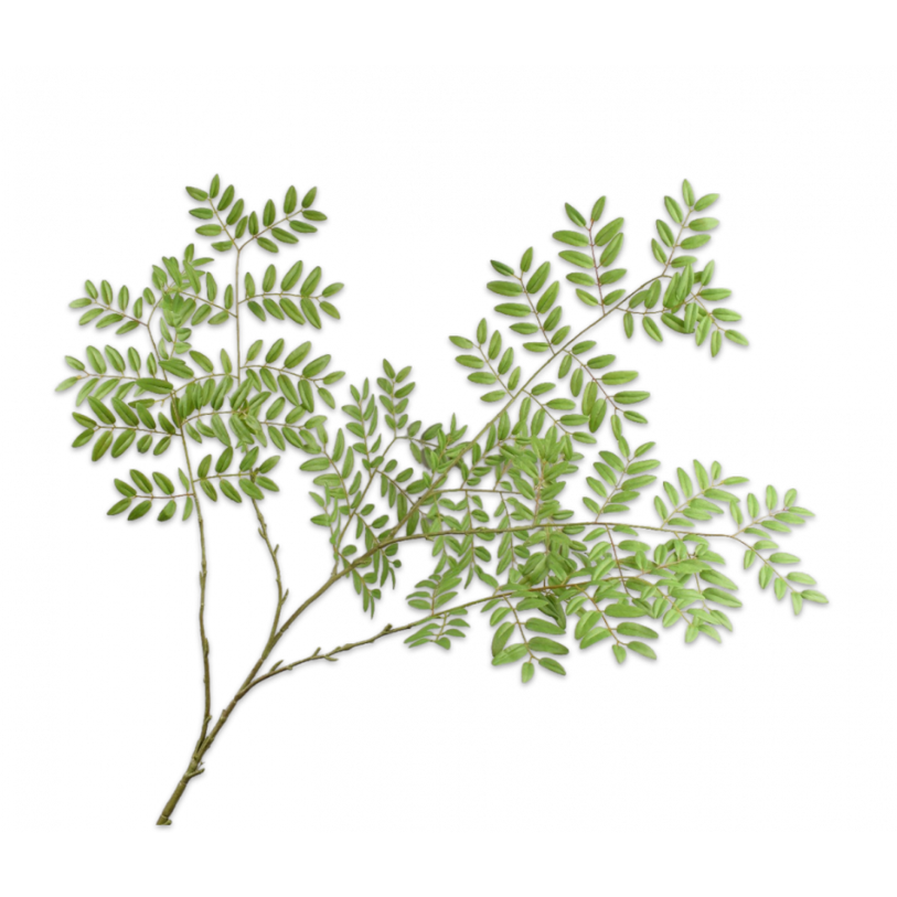 Kunsttak Bladttak Groen 144 cm