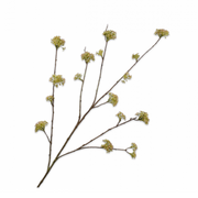 Kunsttak Dille tak Groen 116 cm