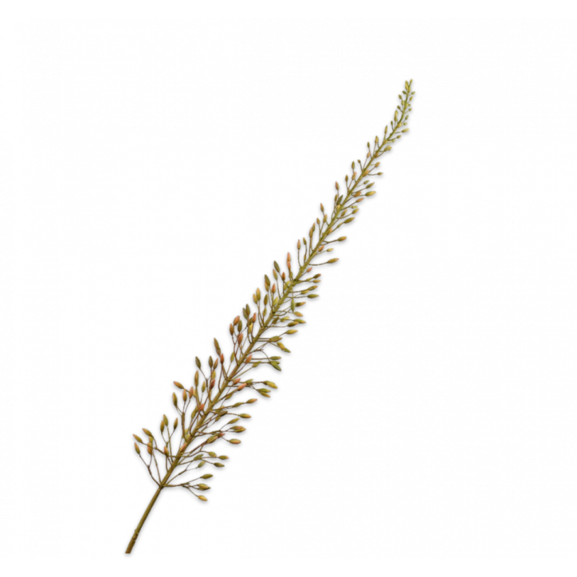 Kunsttak Eremurus Steel bruin 162 cm