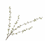 Kunsttak Amelanchier tak groen 122 cm
