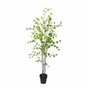 Kunstplant Bucida pot 180 cm