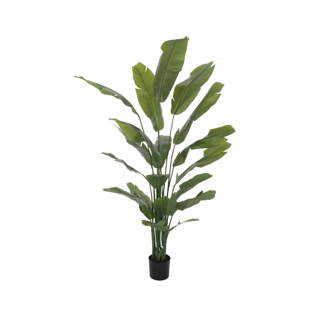 kunstboom Strelitzia 210cm