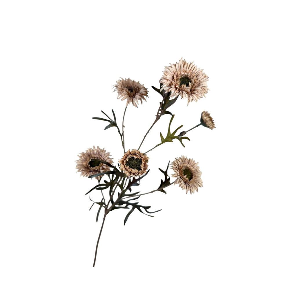 Kunsttak Distel spray 80 cm It coffee