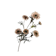 Kunsttak Distel spray 80 cm It coffee