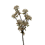Kunsttak Sedum spray 52 cm lt coffee