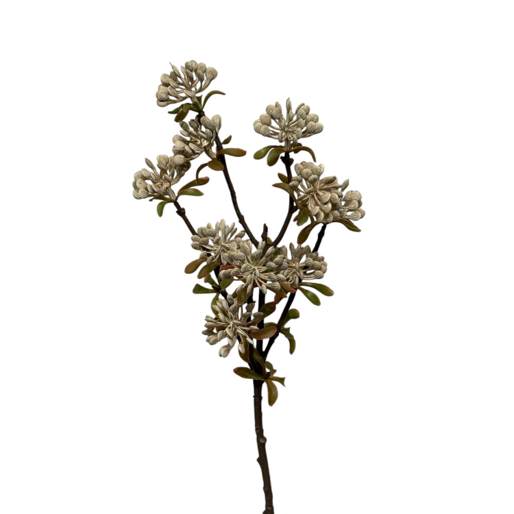 Kunsttak Sedum spray 52 cm lt coffee