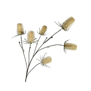 Kunsttak Distel spray 87 cm Light champ