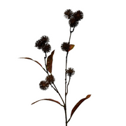 Kunsttak Distel spray sm 61 cm brown