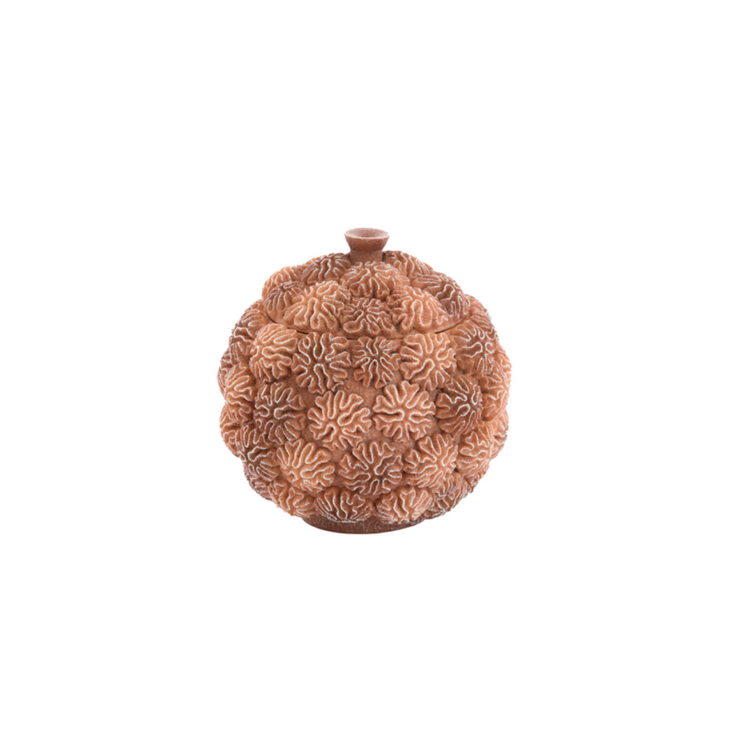 Schaal Coral Ø17x16 cm