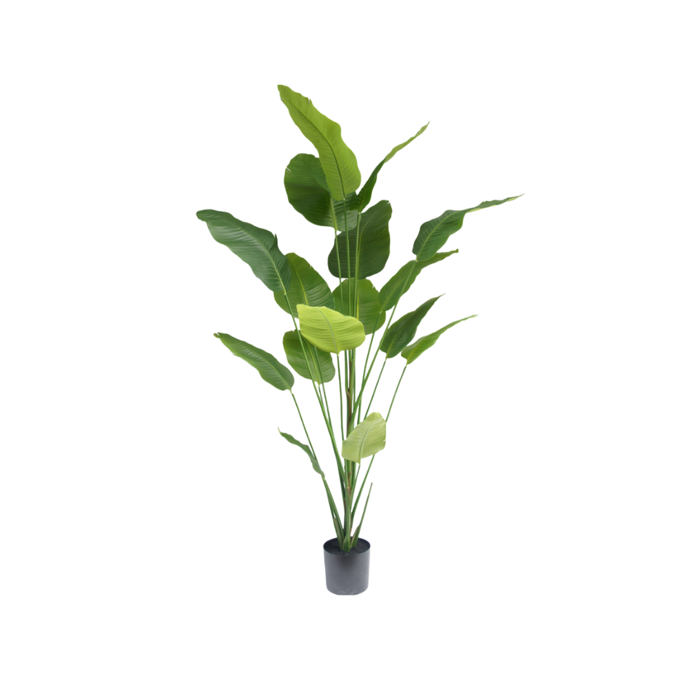 Kunstboom Strelitzia 120cm