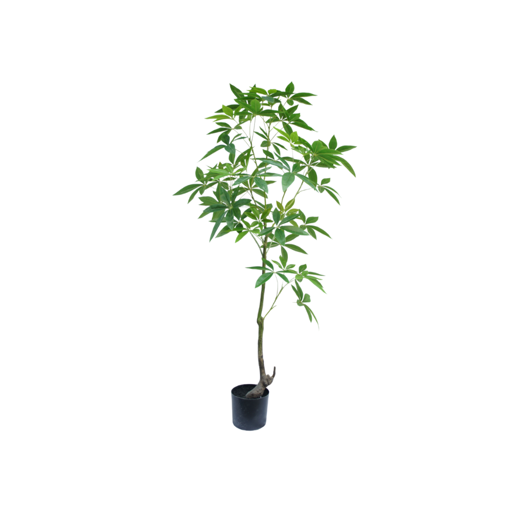 Kunstboom Schefflera 150cm