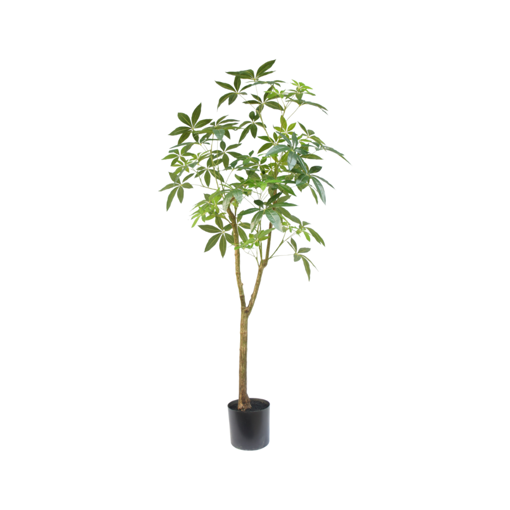 Kunstboom Schefflera 180cm