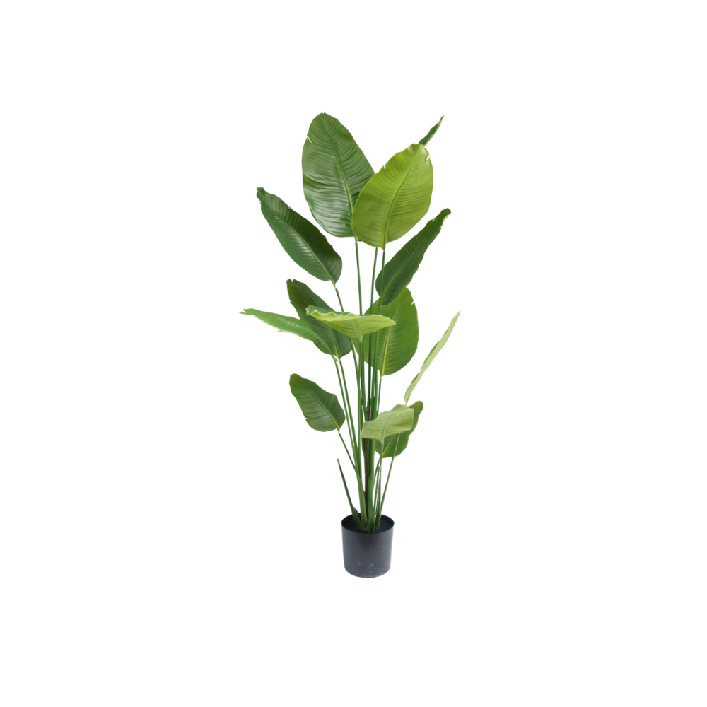 Kunstboom Strelitzia 180cm