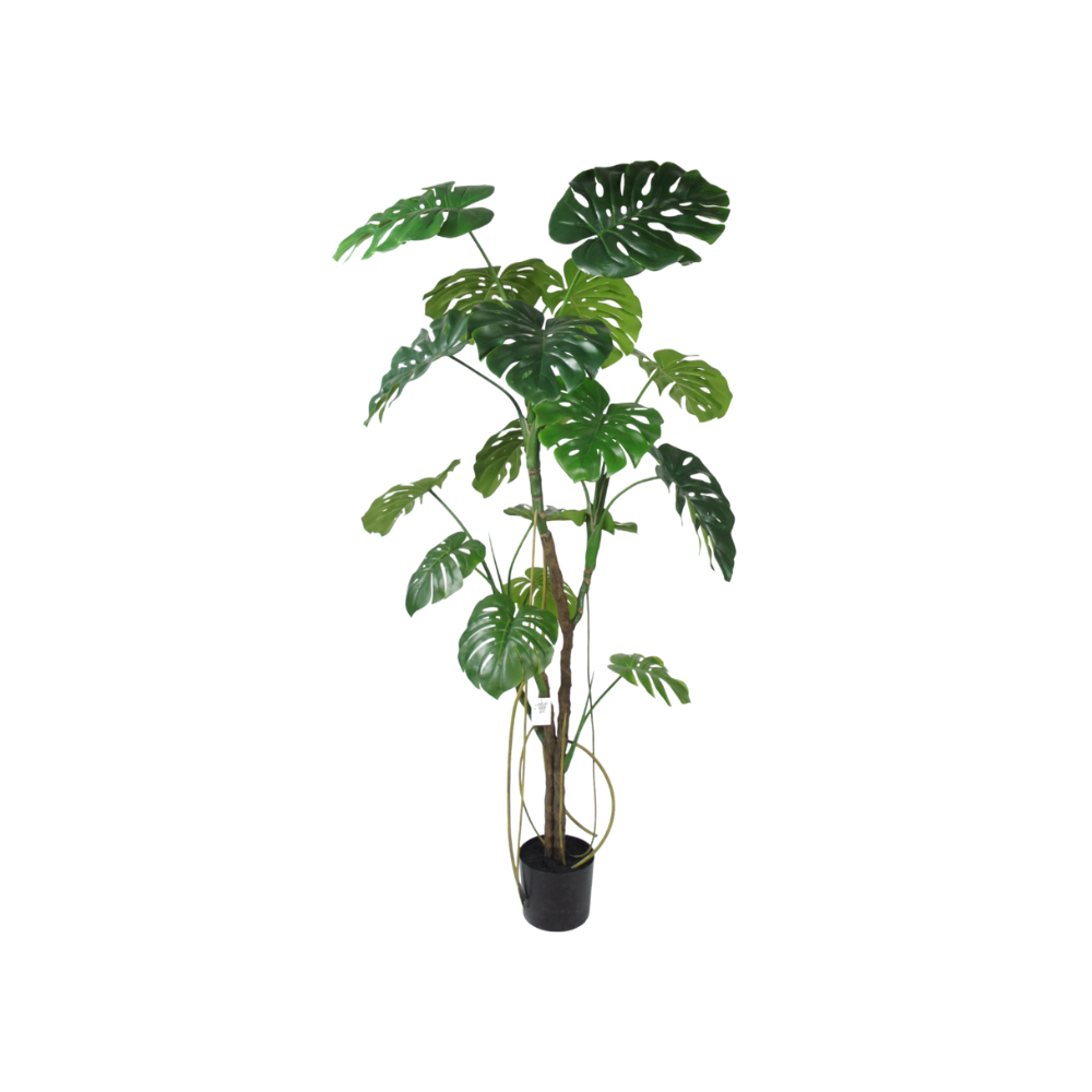 Kunstboom Monstera 180cm
