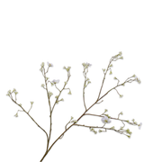 Kunsttak Bloesem tak creme