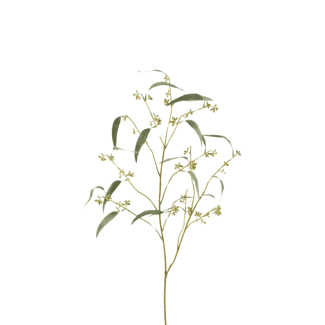 Kunsttak Eucalyptus zaden - Studio LDE