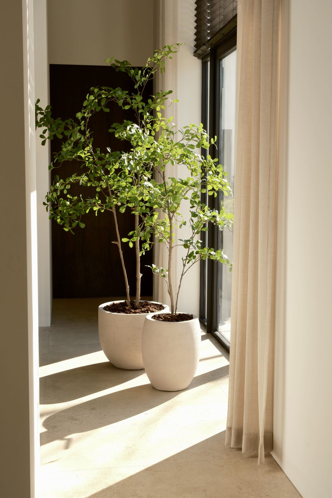 Kunstboom moringa tree 150 cm