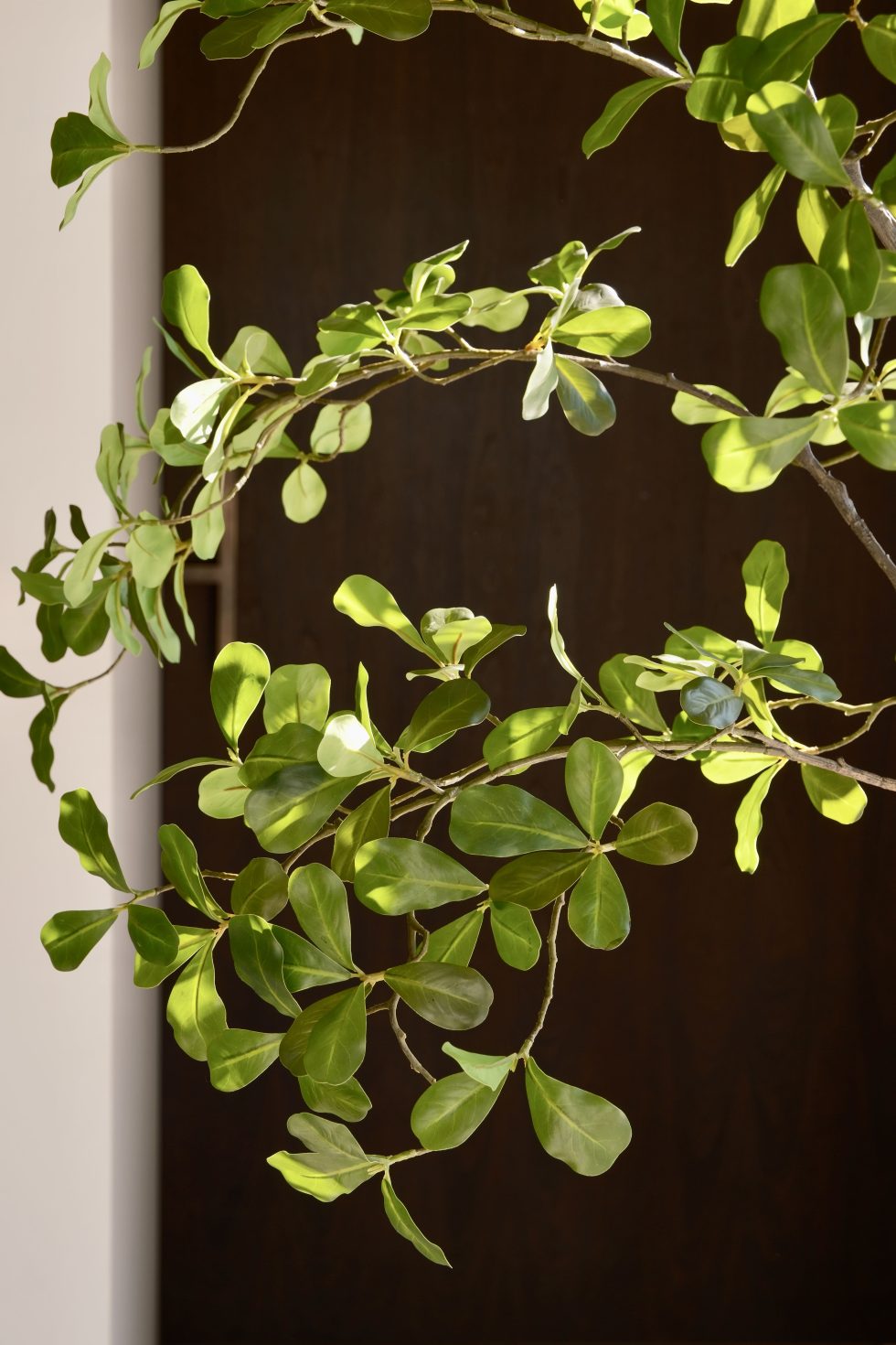 Kunstboom moringa tree 150 cm