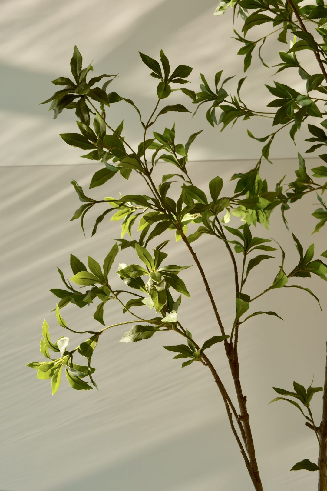 Kunstboom Pieris Japonica 180 cm