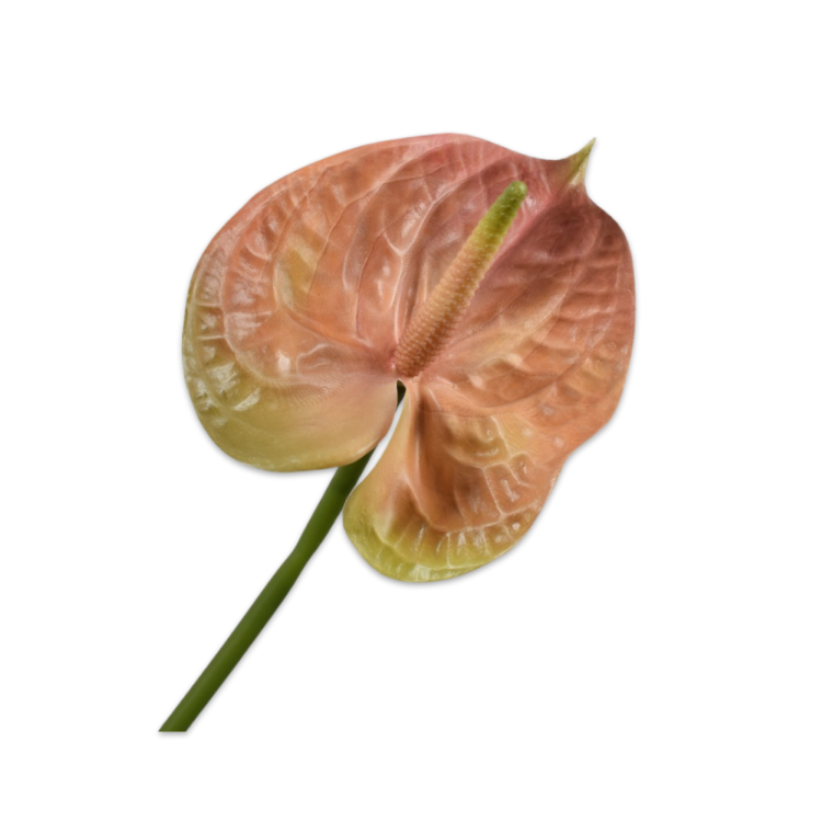 Kunsttak Anthurium steel PZK/GRN 66 cm