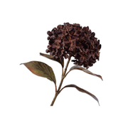 Kunsttak Hortensia donker Bruin 67 cm