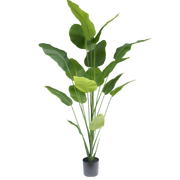 Kunstboom Strelitzia 210cm