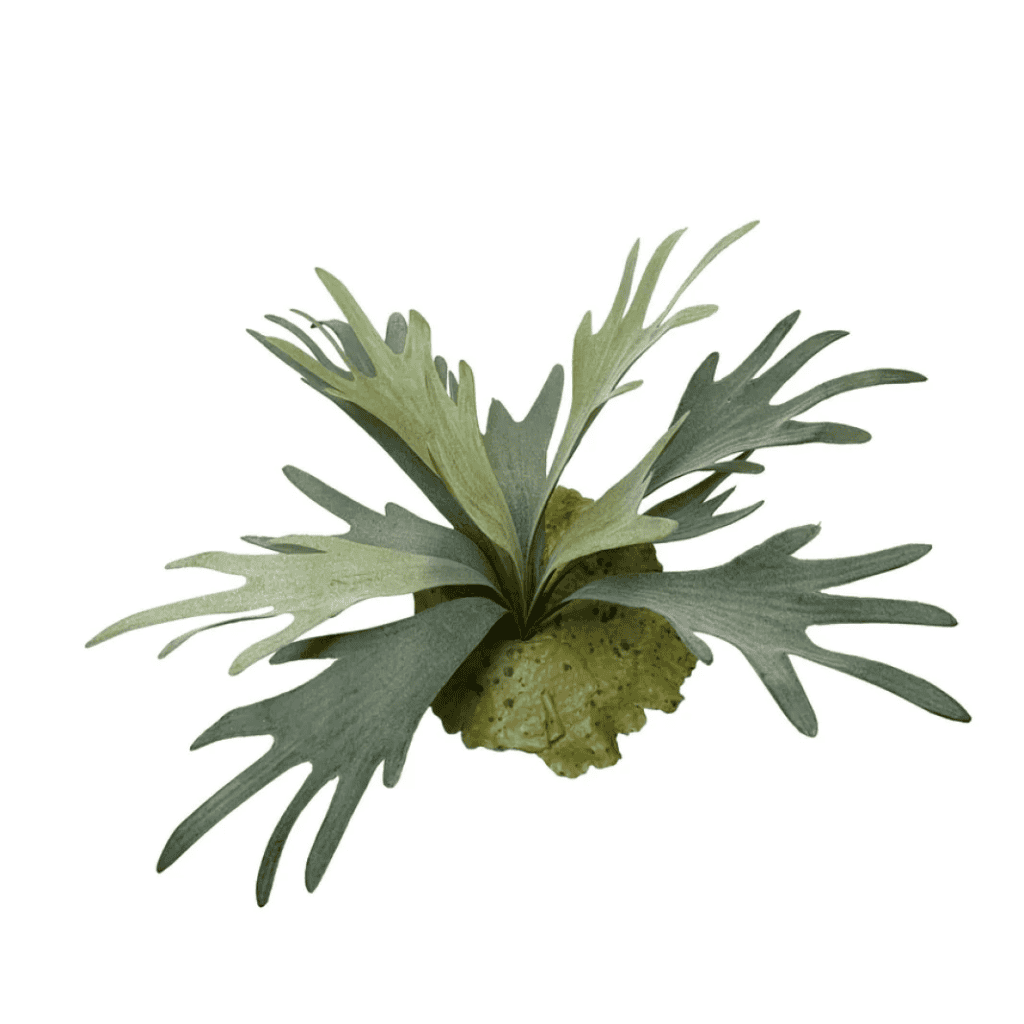 Artificial branch Staghorn 27 cm