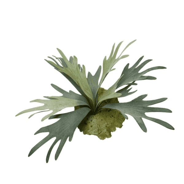 Artificial branch Staghorn 27 cm