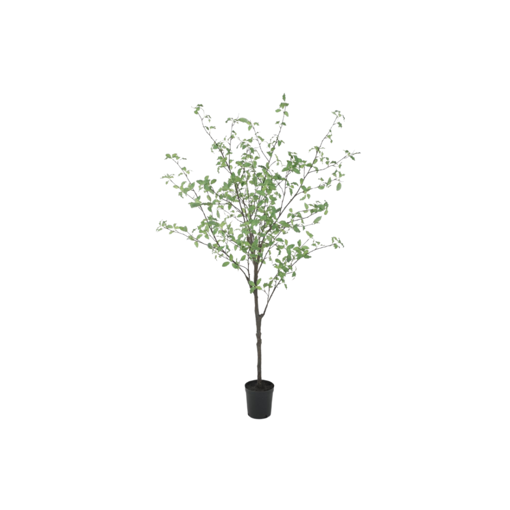Kunstboom Pittosporum in pot 165 cm