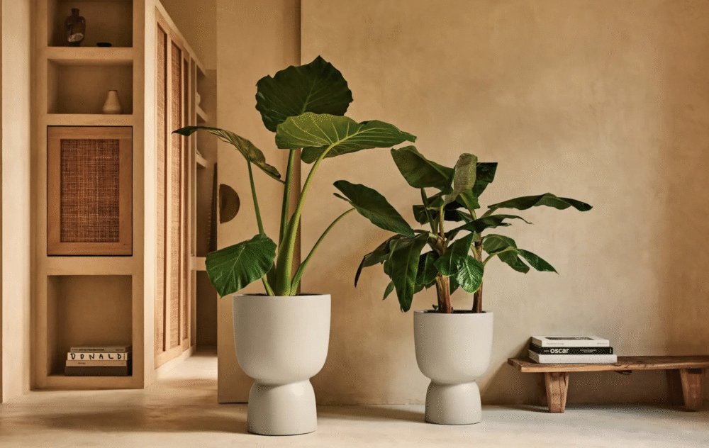 Pot Amber coupe 35cm linnen wit - Afbeelding 2